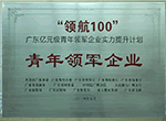 青年領軍企業